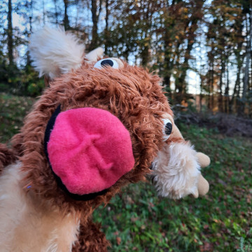 Handpuppe Flinn 360x360 Handpuppe Flinn 360x360 1